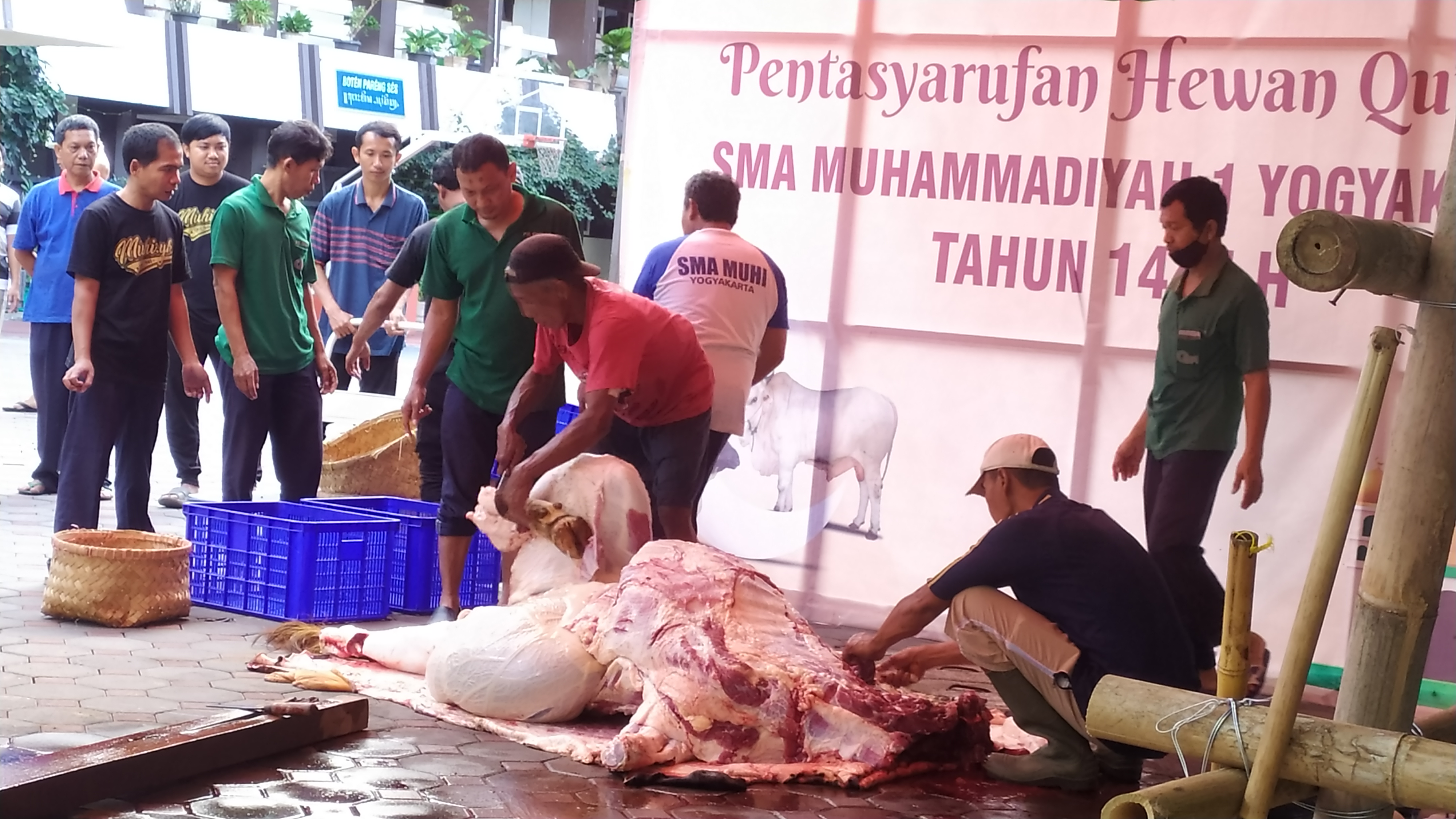 SMA MUHI TASARUFKAN 51 HEWAN QURBAN UNTUK AUM/MASJID DI DIY DAN WONOSOBO